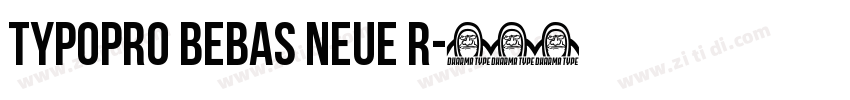 TypoPRO Bebas Neue R字体转换